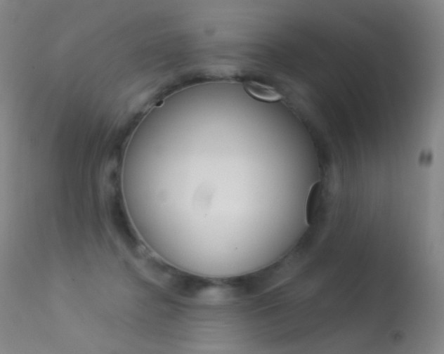 X0000113610364200909181057