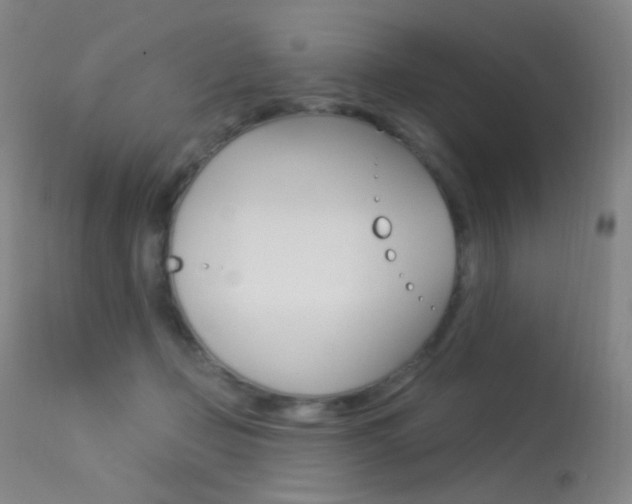 X0000113610365200909181057