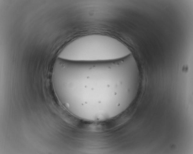 X0000113610366200909181057