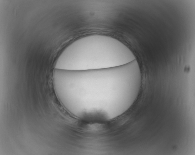X0000113610367200909181057