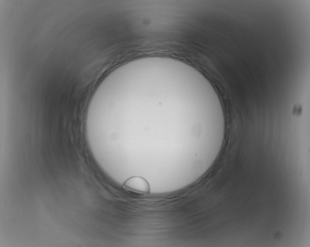 X0000113610368200909181057