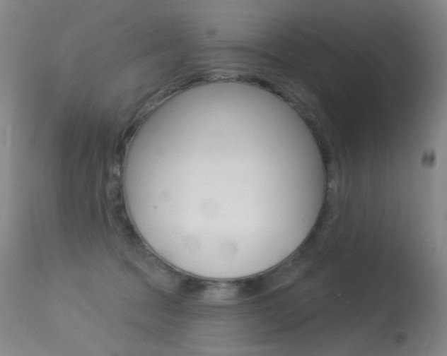 X0000113610369200909181057