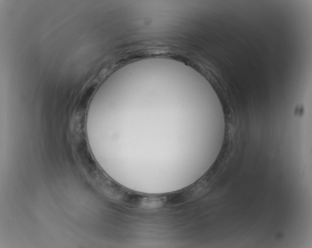 X0000113610373200909181057
