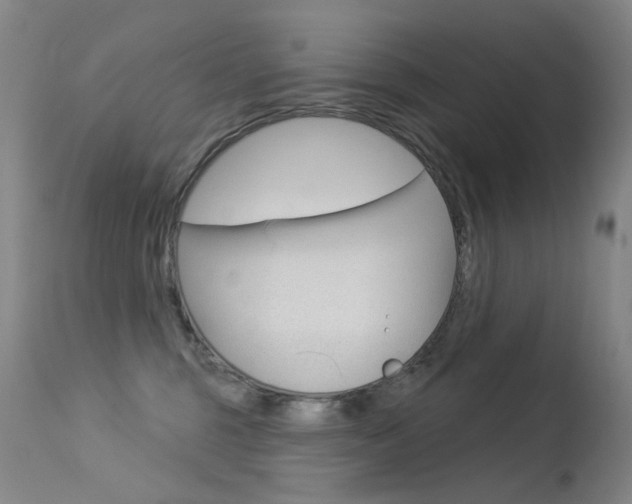 X0000113610375200909181057
