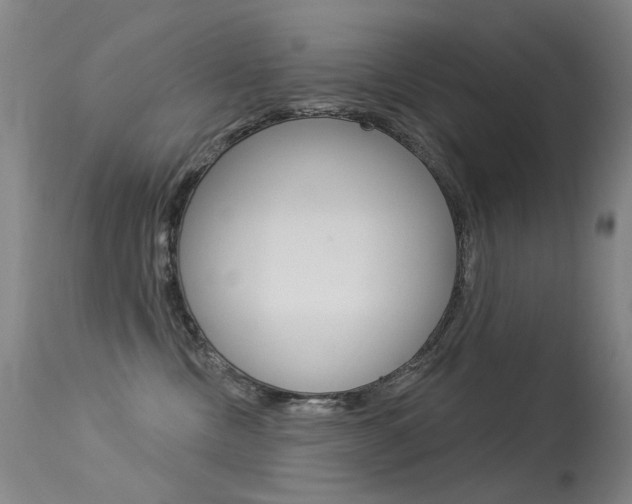 X0000113610378200909181058