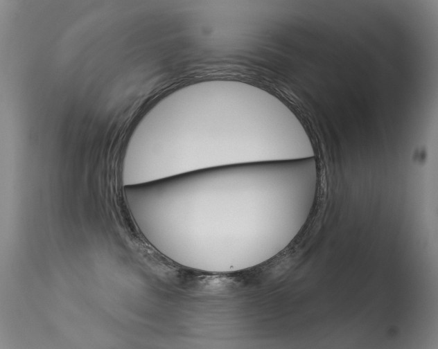 X0000113610379200909181058