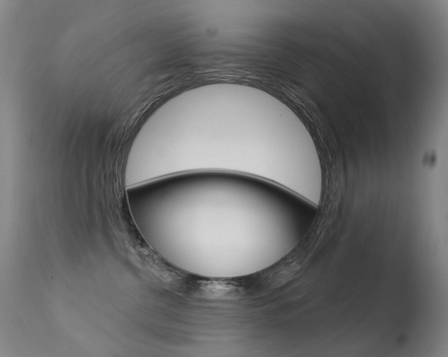 X0000113610380200909181058