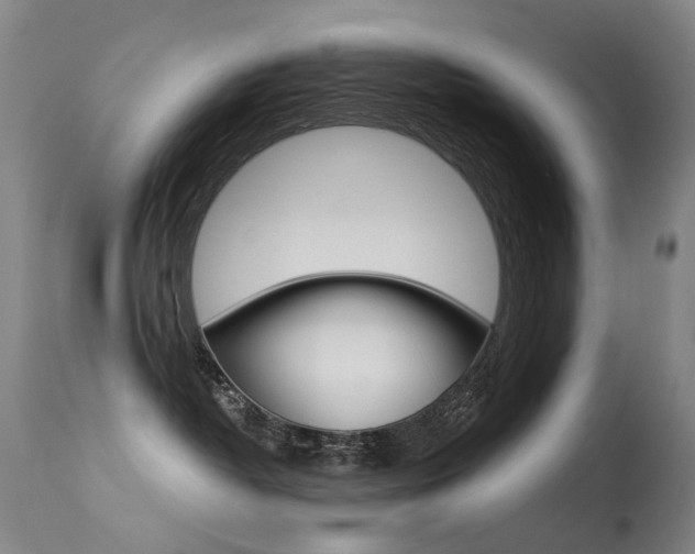 X0000113610382200909181058