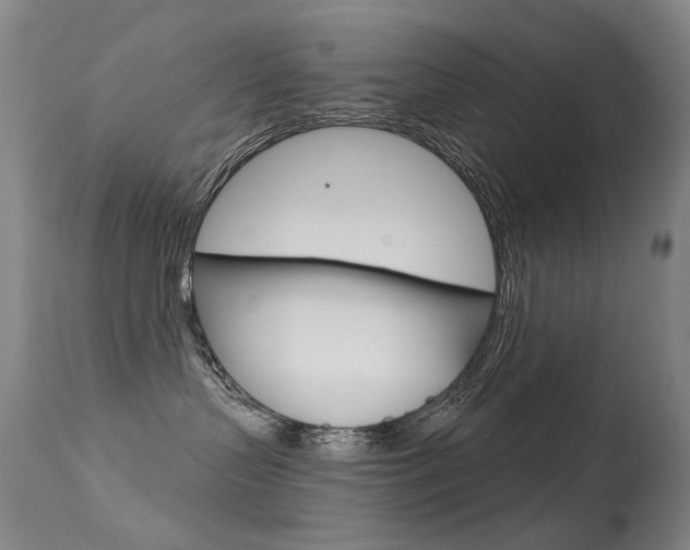 X0000113610383200909181058