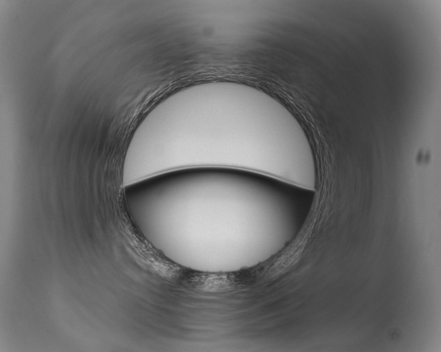 X0000113610384200909181058