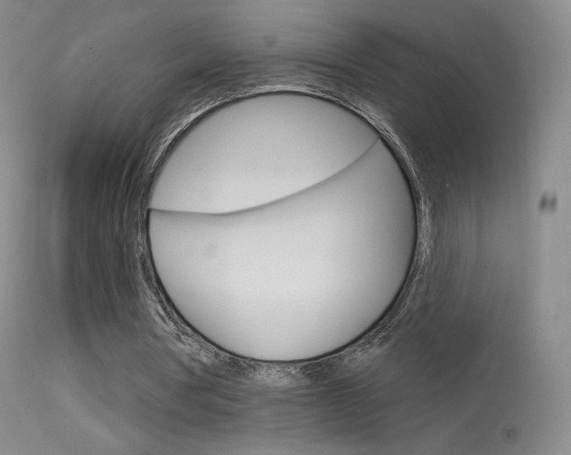 X0000113610386200909181057