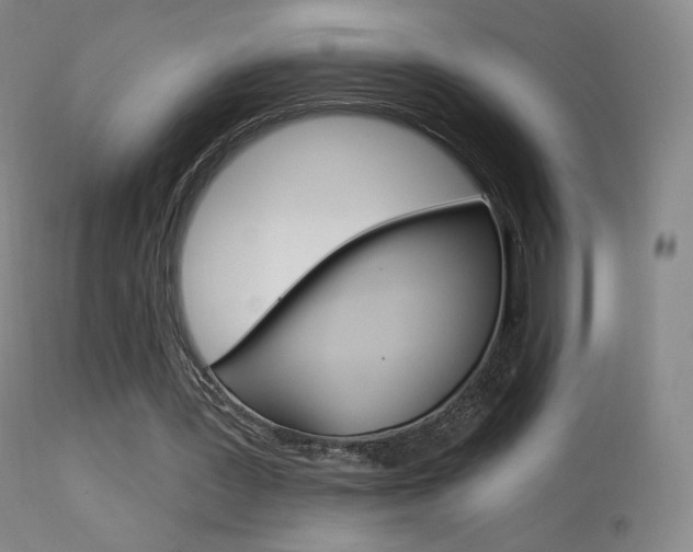 X0000113610387200909181057