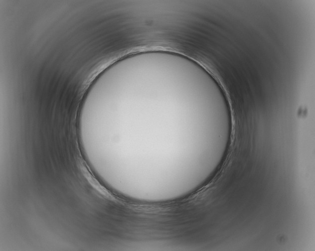 X0000113610389200909181057