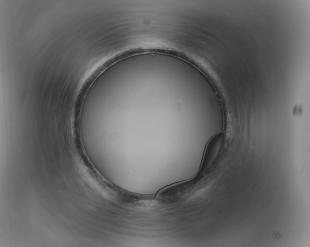 X0000113610391200909181057
