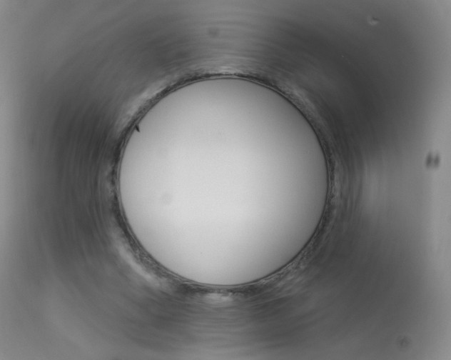 X0000113610394200909181057