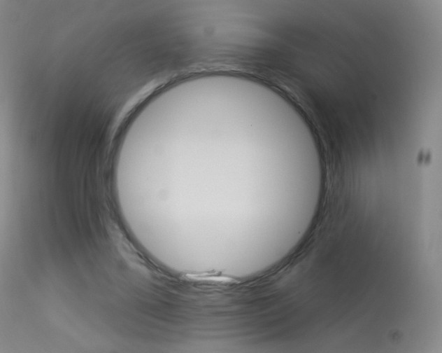 X0000113610395200909181057