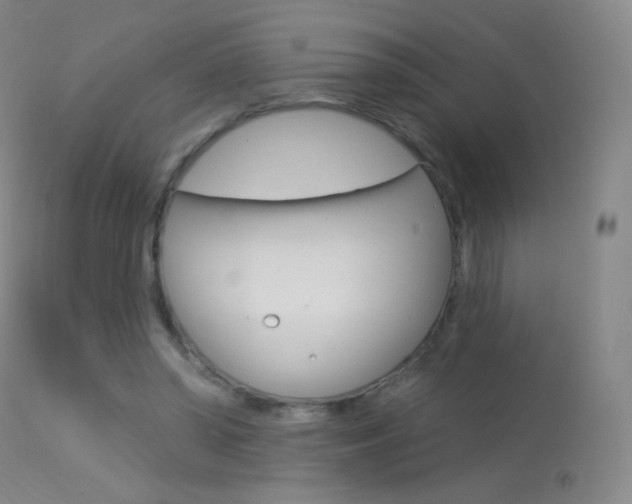 X0000113610398200909181057