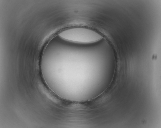 X0000113610399200909181057