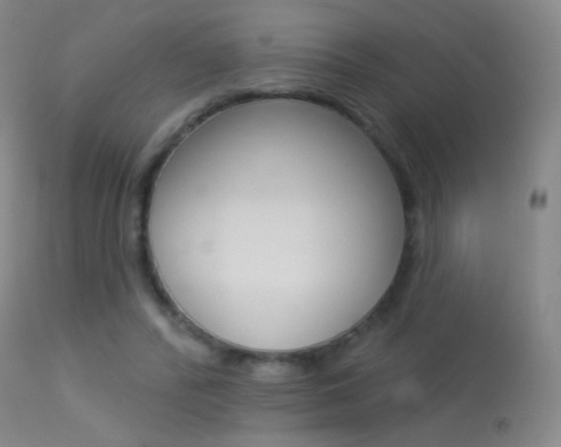 X0000113610400200909181057