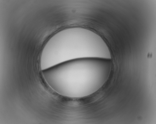 X0000113610404200909181057