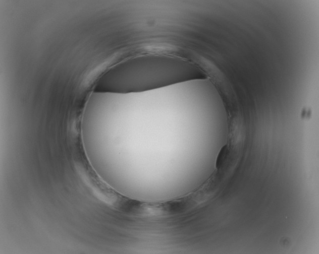 X0000113610405200909181056