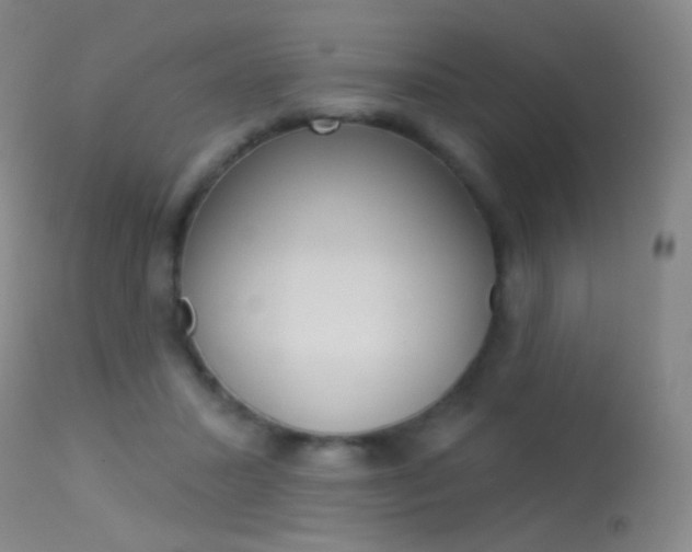 X0000113610407200909181056