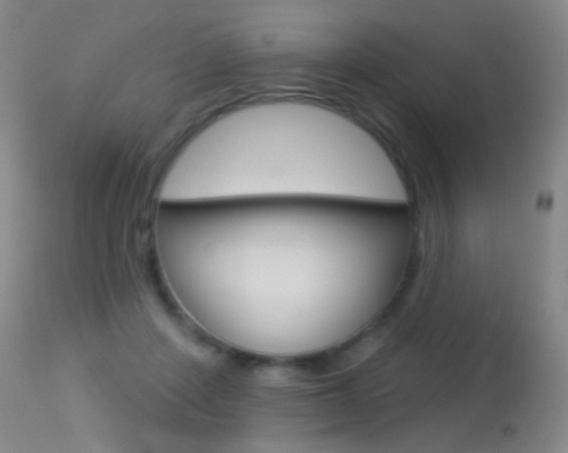 X0000113610408200909181056