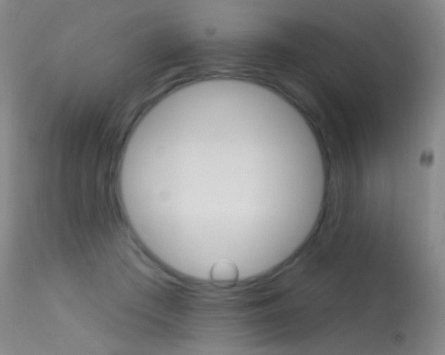 X0000113610409200909181056