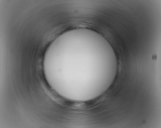 X0000113610410200909181056