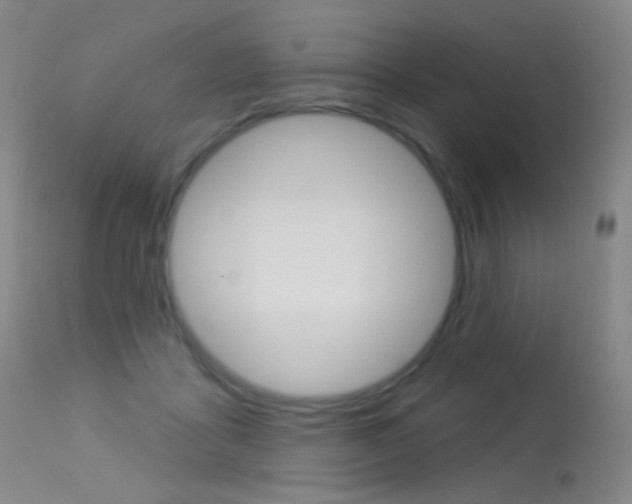 X0000113610411200909181056