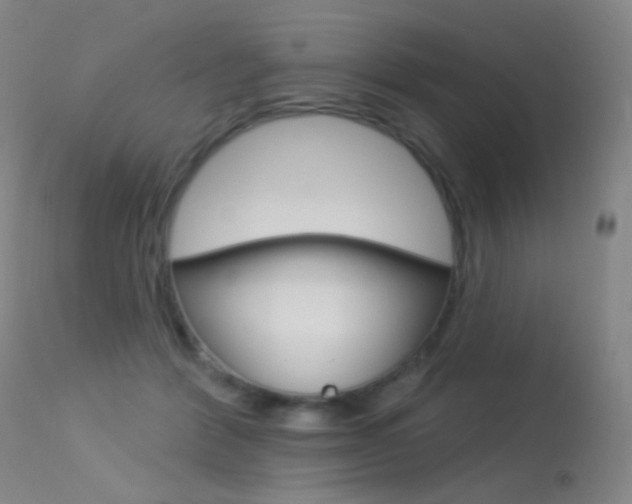 X0000113610412200909181056