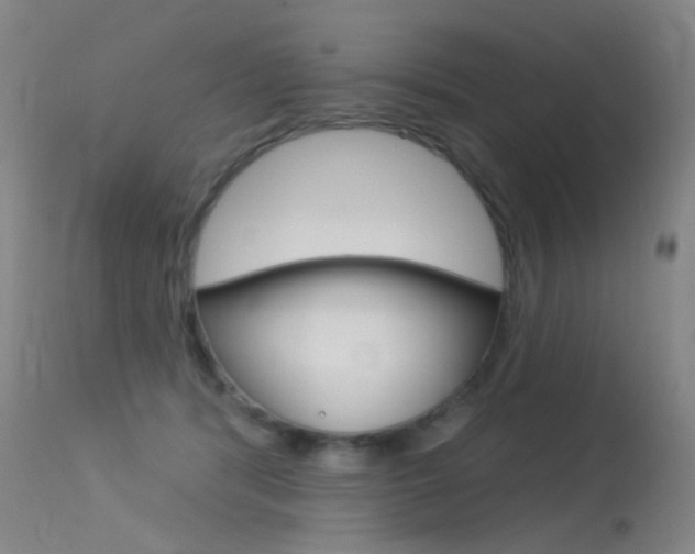 X0000113610416200909181056