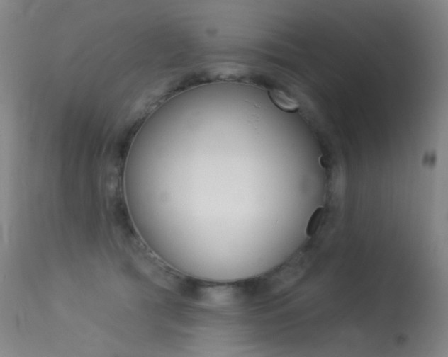 X0000113610417200909181056