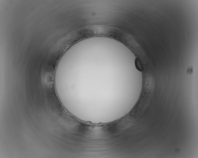 X0000113610419200909181056