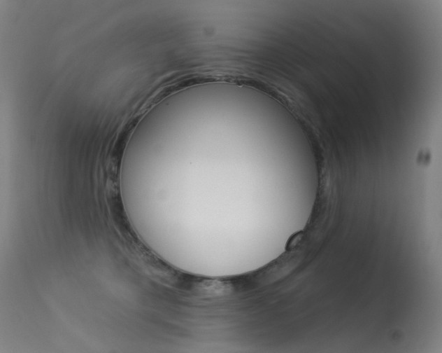 X0000113610421200909181056