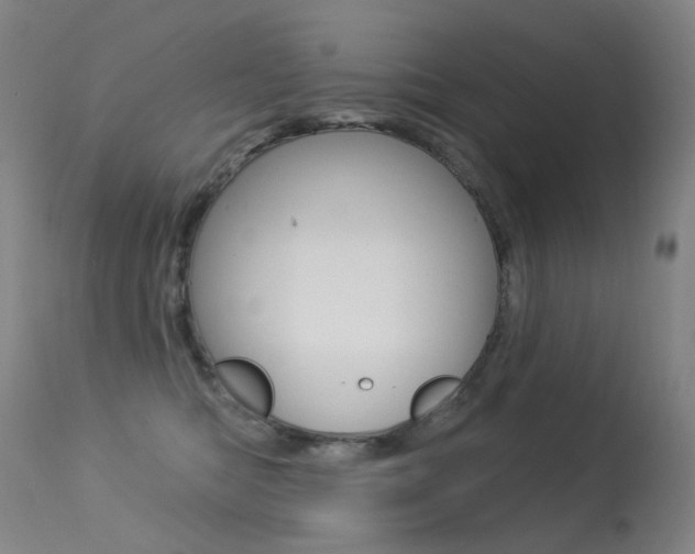 X0000113610422200909181056