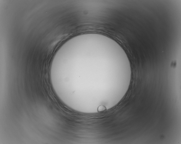X0000113610423200909181056