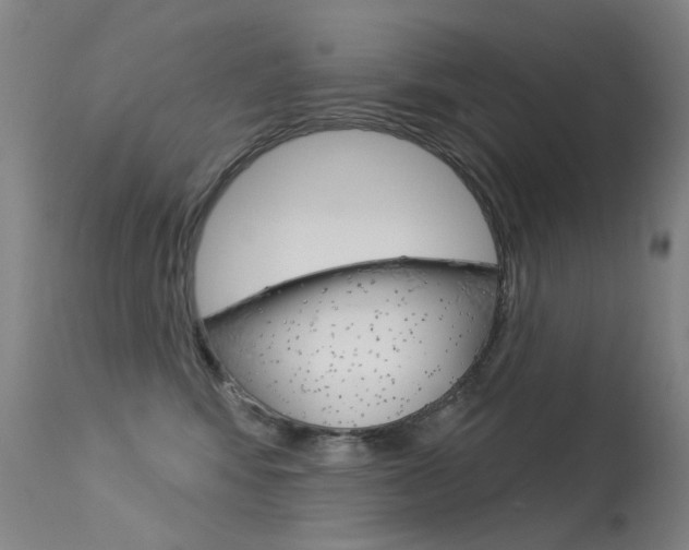 X0000113610424200909181056