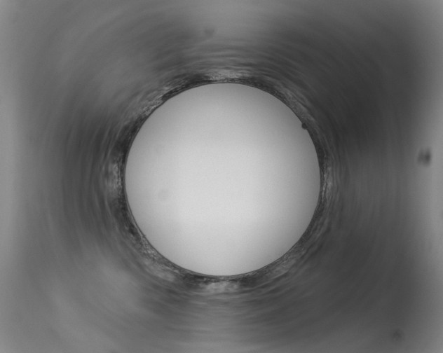 X0000113610426200909181056