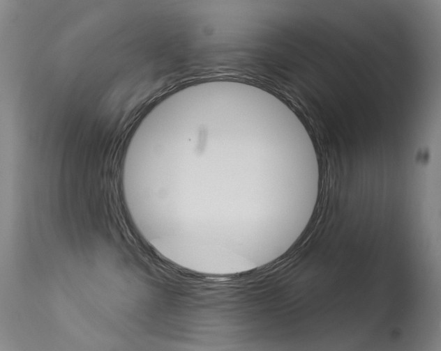 X0000113610427200909181056