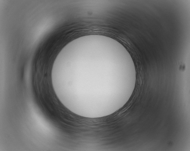 X0000113610429200909181056