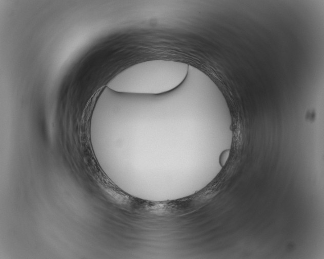 X0000113610430200909181056