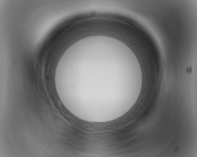 X0000113610431200909181056