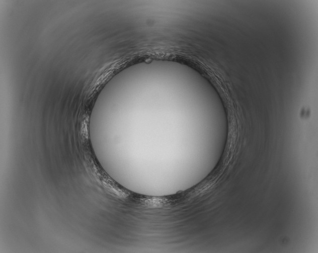 X0000113610432200909181056