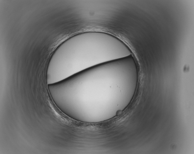 X0000113610433200909181055