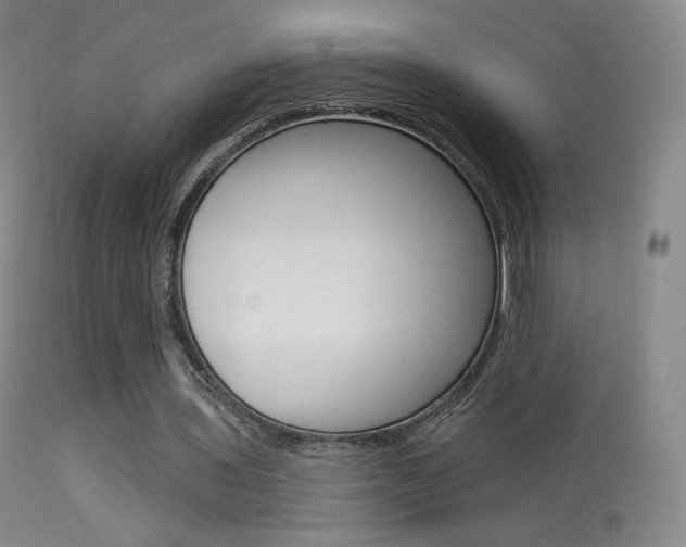 X0000113610435200909181055
