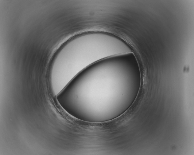 X0000113610436200909181055