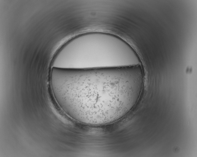 X0000113610438200909181055
