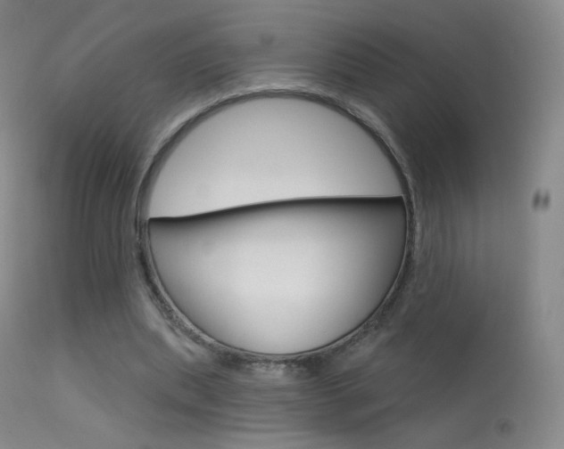 X0000113610439200909181055