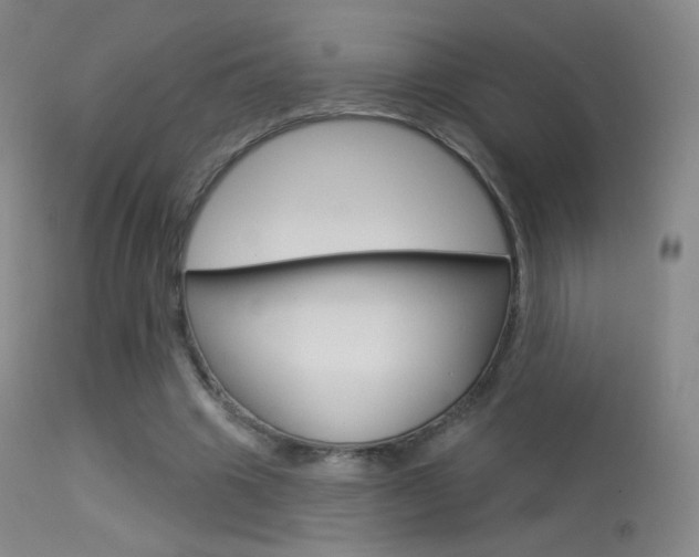 X0000113610441200909181055